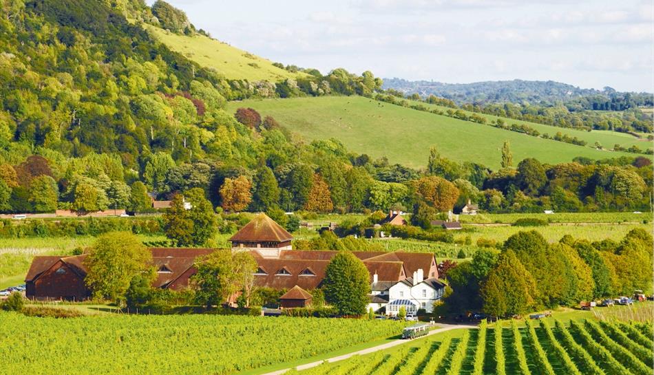 farms to visit in surrey