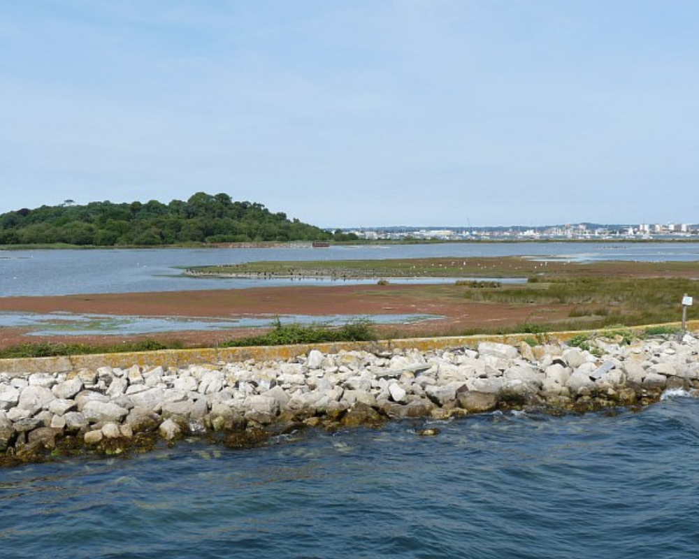 Brownsea Island