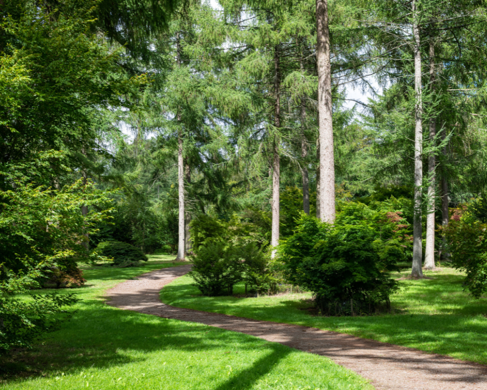 Westbirt Arboretum