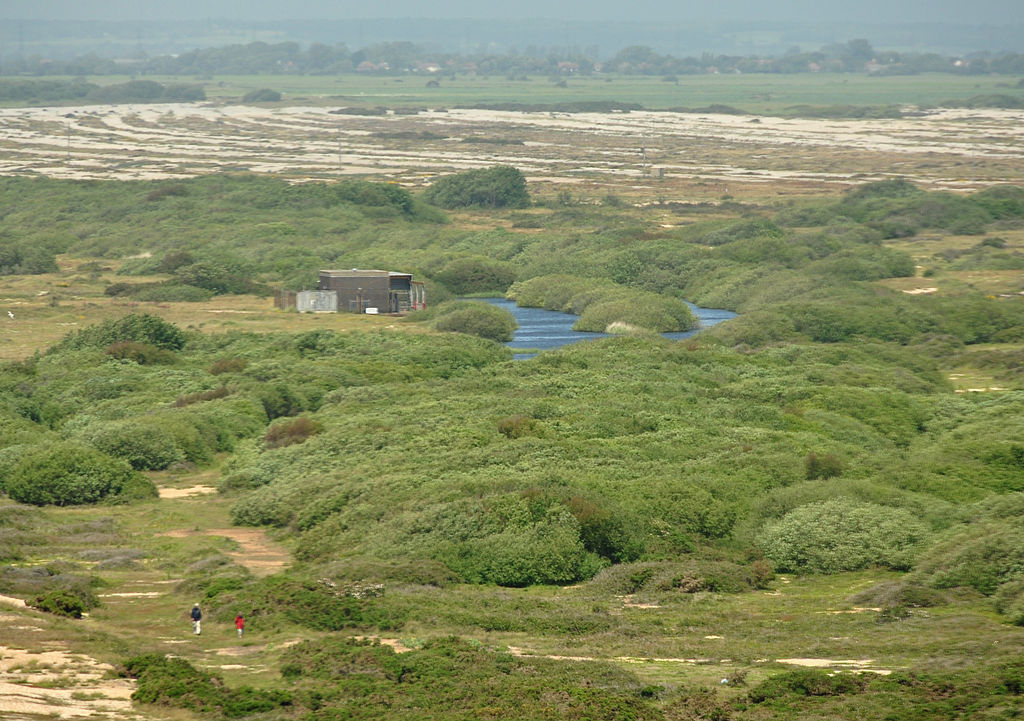 Dungeness