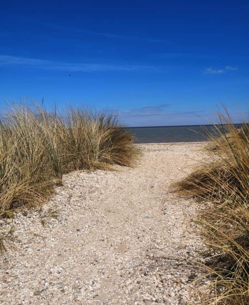 Shellness Beach