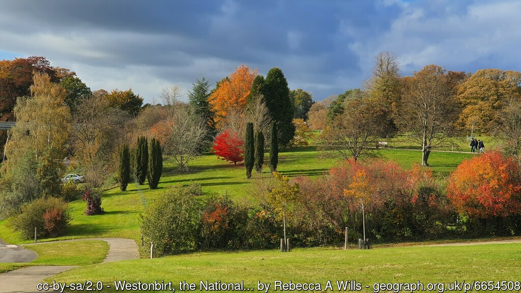 Westonbirt Arboretum 