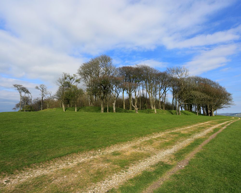 Chanctonbury Ring, West Sussex 