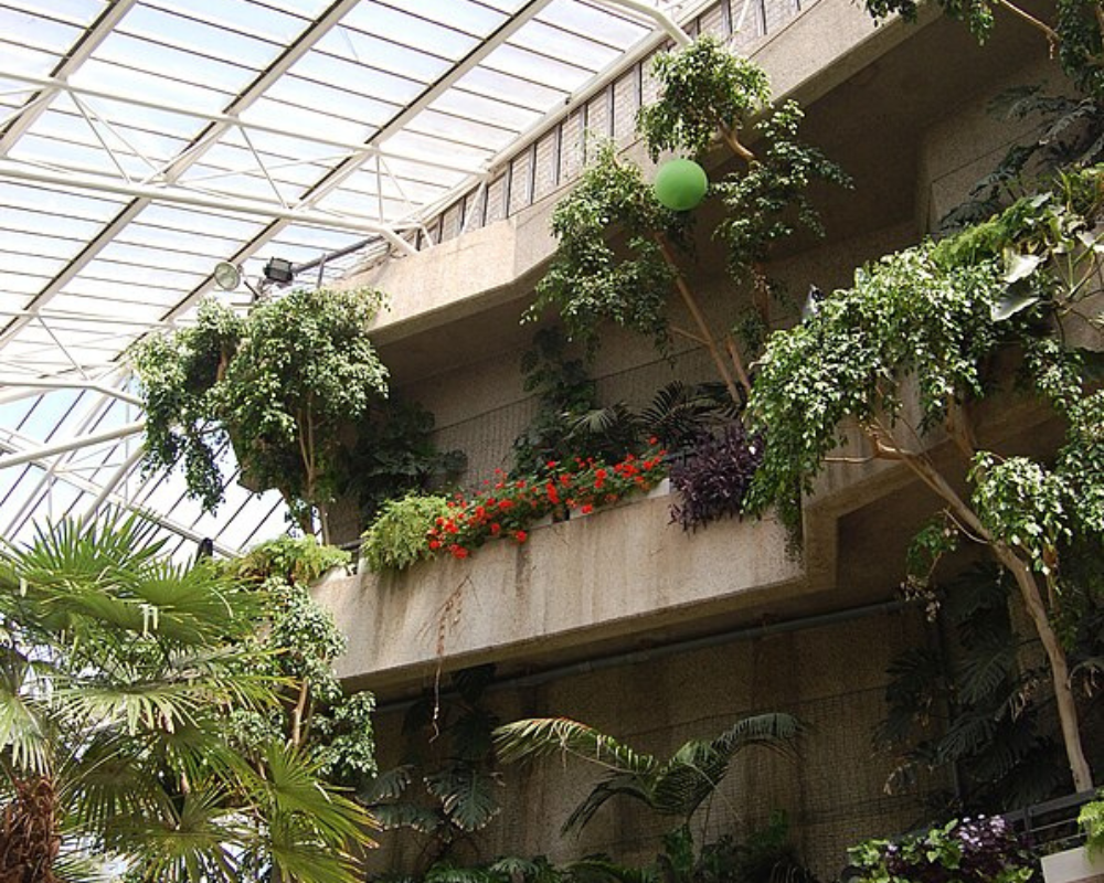 Barbican Conservatory