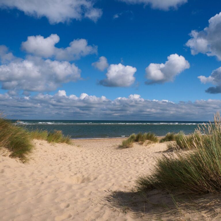 Things to do in half term - Cambridgeshire