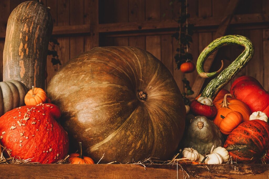 Bell's Pumpkin Patch (Boston)