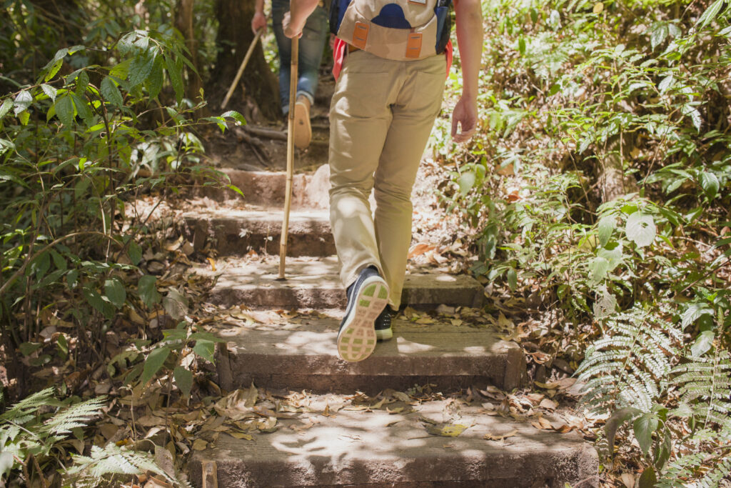 Woodland Walks and Picturesque Garden Features