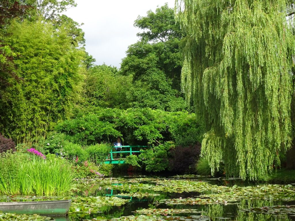 A Water Lily Wonderland Inspired by Monet