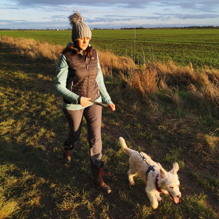 dog walking trails near me
