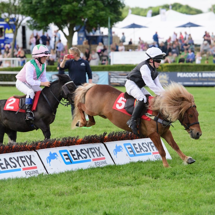 Lincolnshire Show