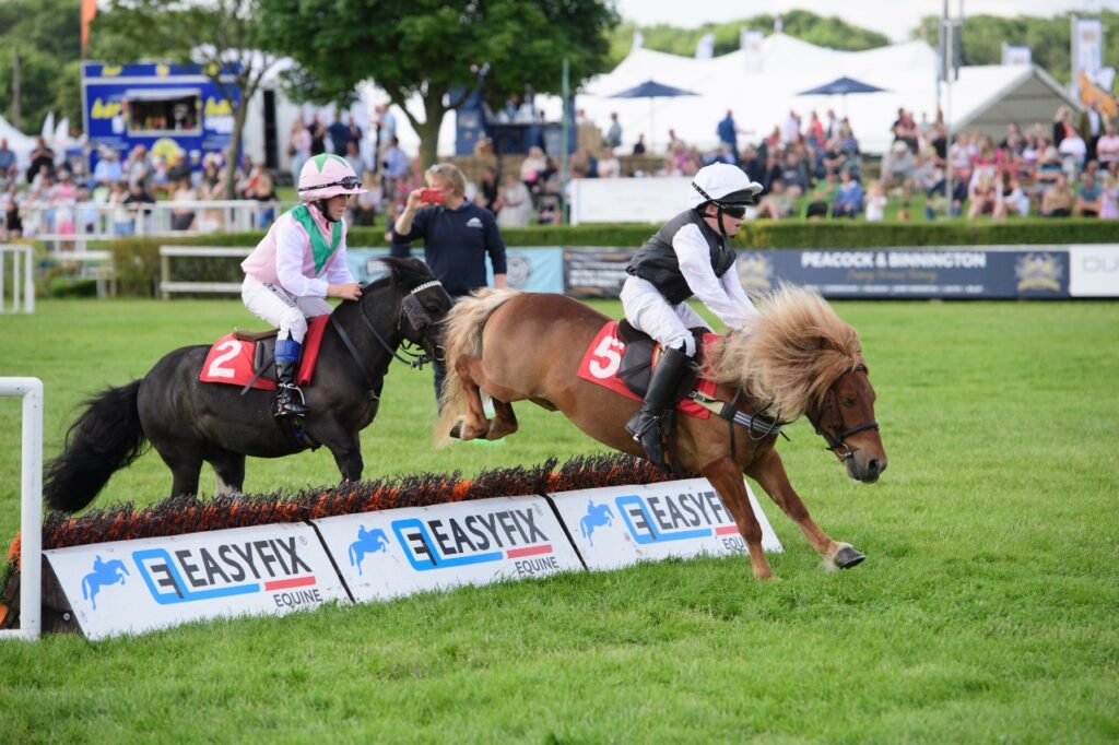 Shetland Pony Grand National