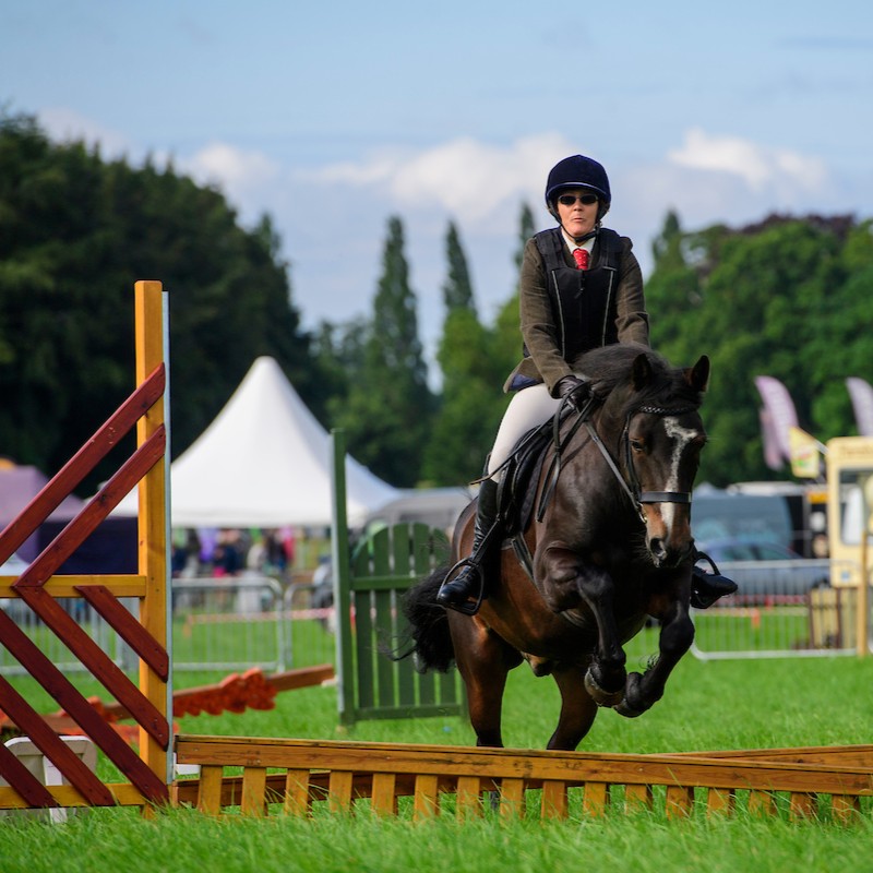 Revesby Country Fair