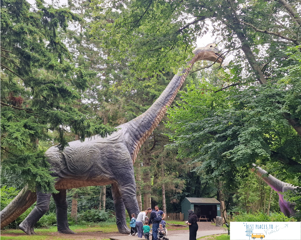 Family day out at ROARR! Dinosaur Adventure in Norfolk